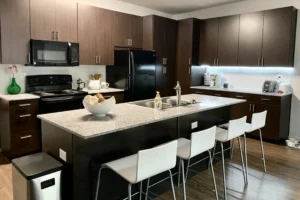 Modern kitchen with dark wood cabinets