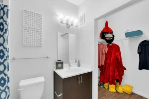 Bathroom with unusual costume in closet