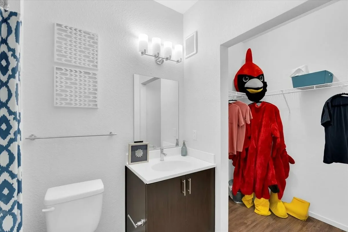 Bathroom with unusual costume in closet